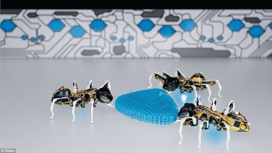 ロボット,昆虫,アリ,蝶,バタフライ,蟻