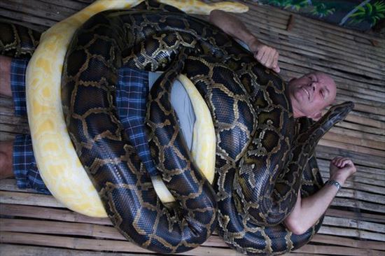 フィリピンのセブ島にある動物園で受けられるヘビマッサージ