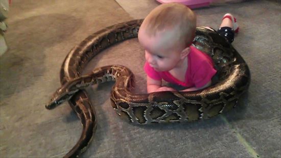 大蛇と戯れる赤ちゃん