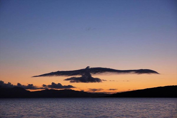 雲！雲！雲！　クジラや犬、鳥に見える奇跡の雲写真13枚！