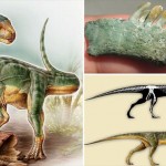 肉食ぽいけど実は草食　新たに発見されたチリサウルス！しかも発見者は7歳少年