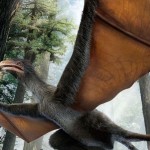 コウモリのような翼を持つ恐竜!?　中国で発見された羽毛恐竜の化石