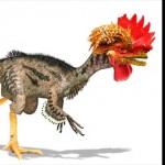 ディノ・チキン！　鶏から恐竜を作る研究。恐竜のような頭部を作ることに成功！