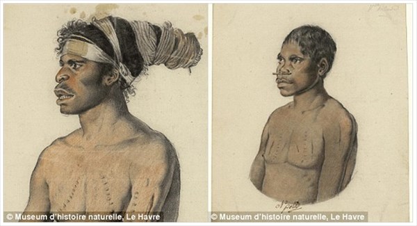 フランスの探検家が200年前に描いたオーストラリア先住民と動植物の貴重な絵