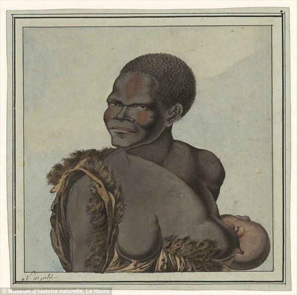 フランスの探検家が200年前に描いたオーストラリア先住民と動植物の貴重な絵
