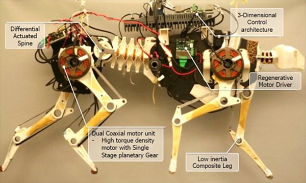 時速48キロで走り、障害物も避けることが出来るロボット　「ロボチーター」！
