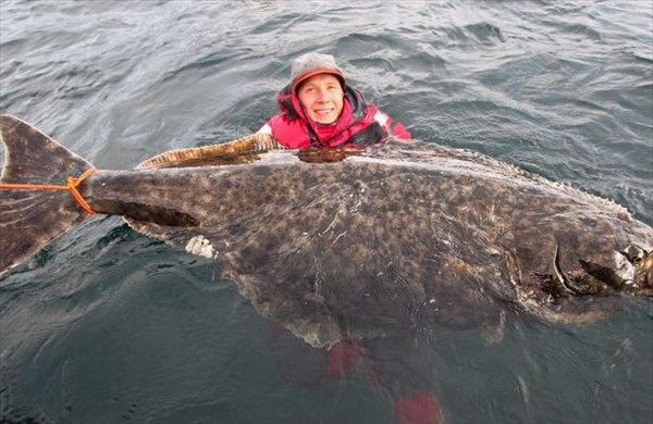 2ｍの巨大オヒョウを釣る！　デカ過ぎて持ち上がらず極寒の海にダイブして撮影