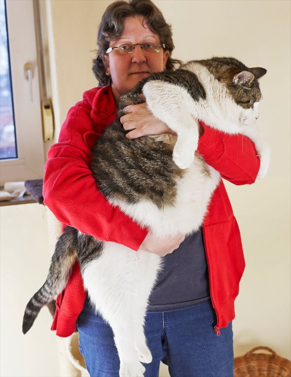 世界一重い猫!? 最高体重は17.5キロ！ デブ猫のエルヴィス
