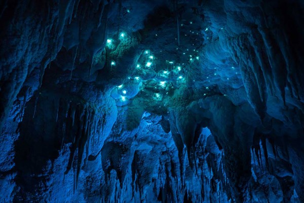 FFチックな洞窟！　ツチボタルの生息する洞窟が神秘的な美しさ！！