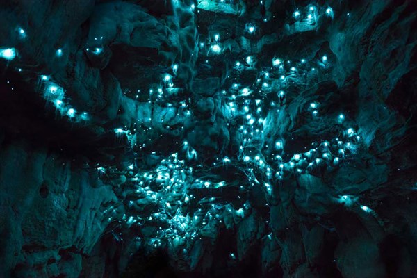 FFチックな洞窟！　ツチボタルの生息する洞窟が神秘的な美しさ！！