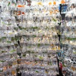 袋詰め！過剰飼育！　中国香港の金魚市場がぎゅうぎゅう過ぎる！