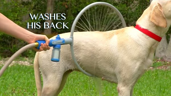 これは便利！　犬を簡単に洗うことができる「ウーフ・ウォッシャー360」！！