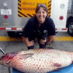 ミズーリ州の排水溝から1.8メートルの巨大な鯉(ソウギョ)が見つかる！
