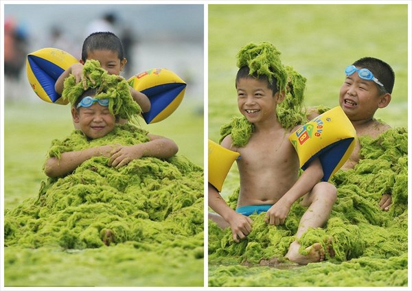 今年も中国のビーチで「アオサ」が大量発生！　緑の海岸とそれを楽しむ行楽客