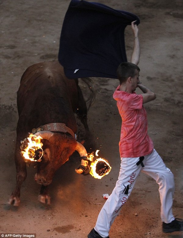 牛追い祭りの上位互換！？　「牛＋火」炎の牛追い祭りが超過激！！