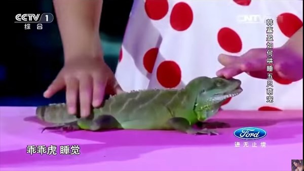 超能力少女！？　中国の5歳の女の子が、5種類の動物達を瞬く間に眠らせる？