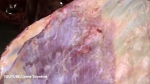 ぶら下がった肉の塊がピクンピクン！　フィリピンで撮影された脈動する肉