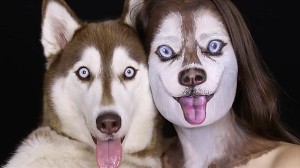 美容学校の講師が、飼い犬のシベリアンハスキーになるメイクアップ動画！