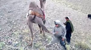 アメリカ兵が捕まえたタリバンのラクダ　アメリカ兵のナメた態度に後ろ蹴り！！