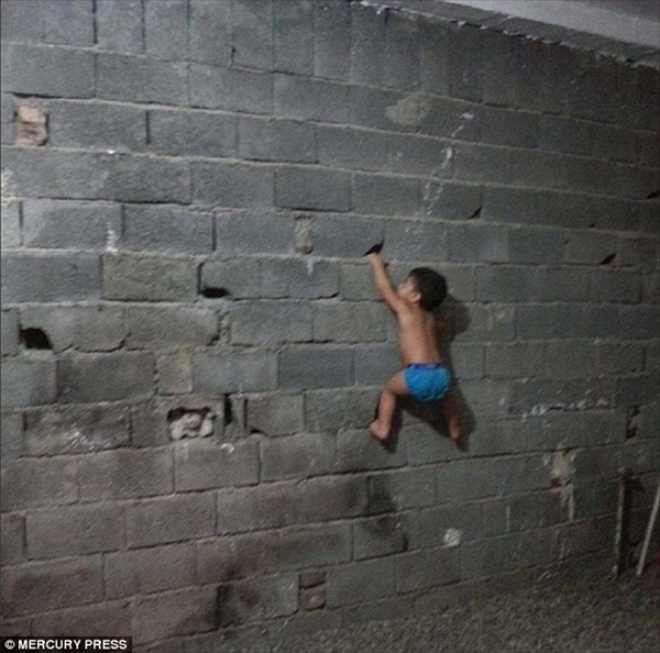 将来有望！ ブロック塀だって平気で登る！ イランの2歳の怪力男児！！