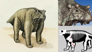 史上最も醜い生物？ 恐竜の前時代の生物ブノステゴス　超ダサかったことが判明