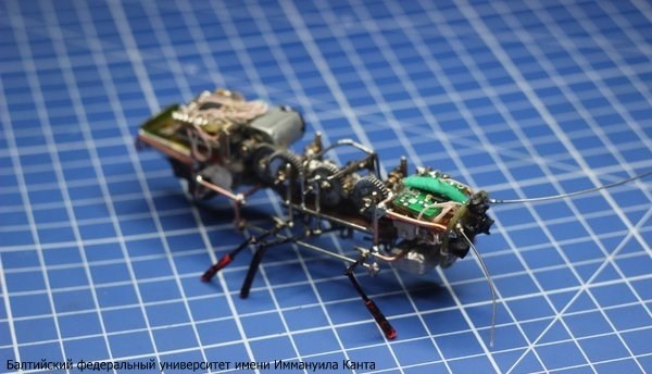 ロシア軍も注目！　ロシアのエンジニアがゴキブリ型偵察ロボットを開発！！