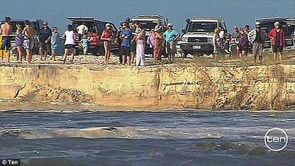 クイーンズランドのビーチに巨大な穴が開く！　車などが飲み込まれ、周辺封鎖！