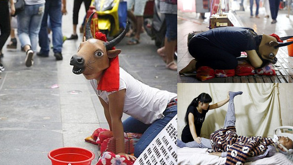 心が痛む…　病気の父と兄弟のため、牛のマスクをかぶり物乞いをする中国の少女