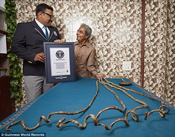 世界最長の爪を持つ男！ 62年間も爪を伸ばし続けたインド人 ギネスも認定！