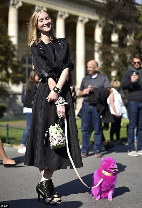 パリのモデルが愛犬のポメラニアンをピンクに染める！　当然、動物愛好家は激怒