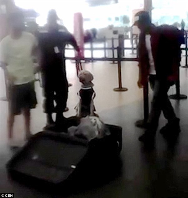 スーツケースに隠れて国外逃亡をはかった男　探知犬によってバレる！