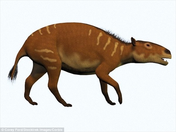 4800万年前のほぼ完全な馬の化石発見！　しかも子宮には胎児が入っている！