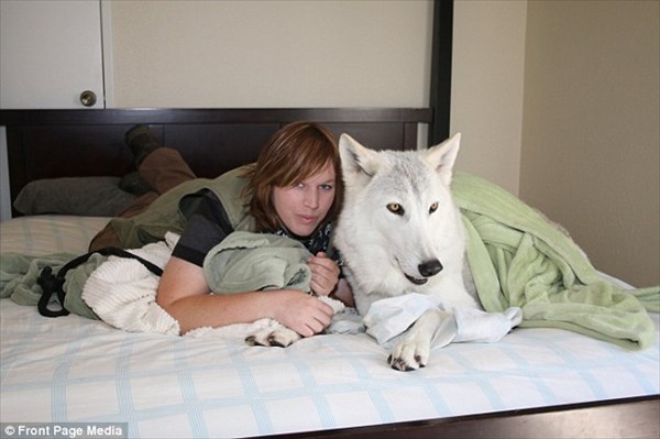 寝ている間に襲われないの？　オオカミとベッドを共にする女性
