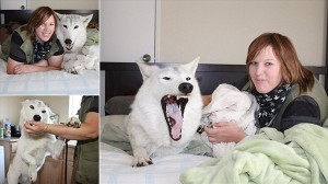 寝ている間に襲われないの？　オオカミとベッドを共にする女性