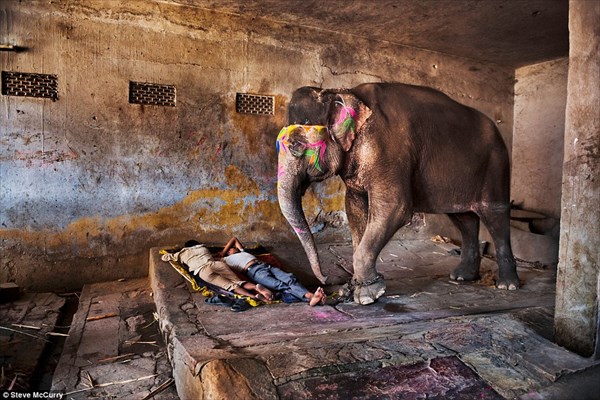 伝説の写真家スティーブ・マッカリーが撮影した混沌と色彩のインド！！