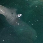 新種の海獣発見か!?　ギリシャ・コルフ島の海中洞窟で謎の生物が撮影される