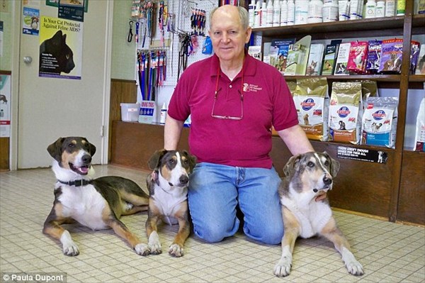 年老いた愛犬のクローン犬2匹を1200万円かけて製作した獣医