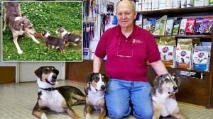 年老いた愛犬のクローン犬2匹を1200万円かけて製作した獣医
