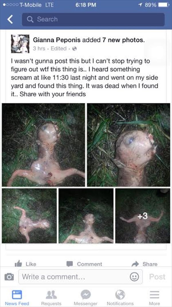 UFO目撃騒動の夜、カリフォルニア州で謎の生物発見　エイリアン？鹿の胎児？