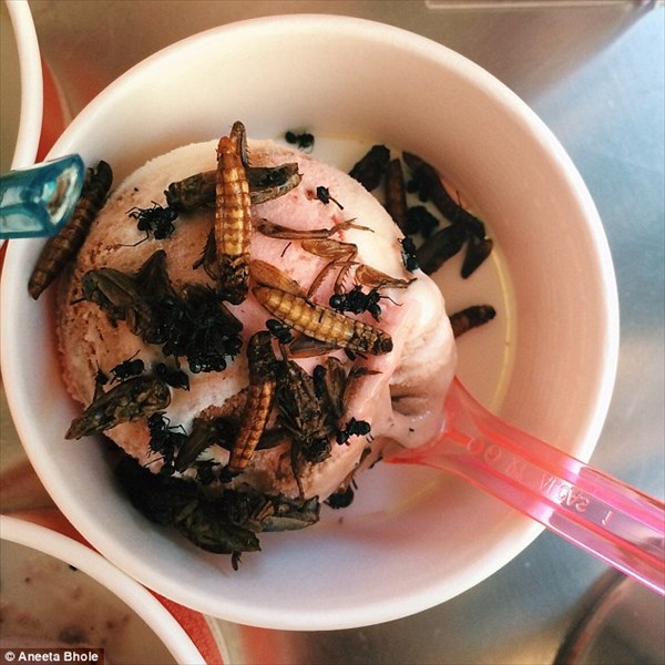オーストラリアでアイスクリームを無料配布！でも虫入り！　昆虫食普及が目的