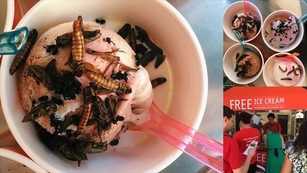 オーストラリアでアイスクリームを無料配布！でも虫入り！　昆虫食普及が目的