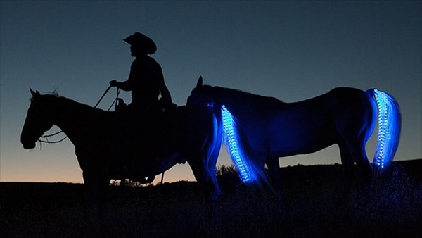夜の乗馬もこれで安心？　馬用の安全灯「テール・ライト・ライダー・システム」