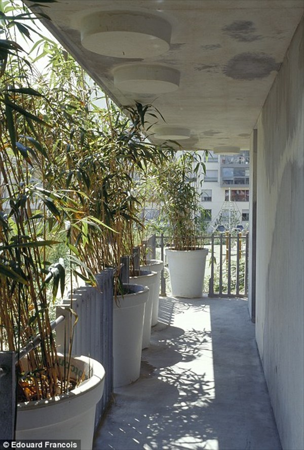 これが本当のコンクリートジャングル？  パリにある植木鉢だらけのマンション