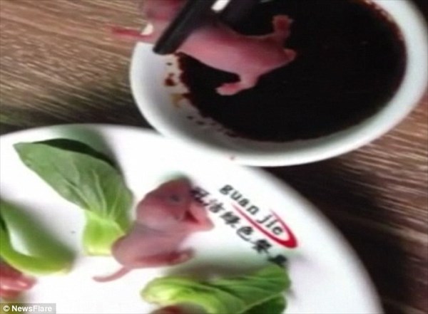 ネズミの赤ちゃんを生きたまま踊り食いするという中国の珍味「三聴」
