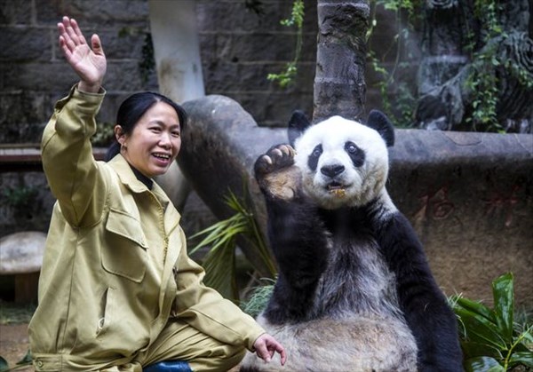 人間だと130歳!?　世界で二番目に長寿のパンダが35歳の誕生日を迎える！