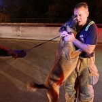 洪水に巻き込まれた犬　救助してくれた消防士にヨダレだらけのキスをプレゼント