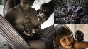 動物を愛し、そして食べる　ブラジルアマゾンの自然に生きるアワ族