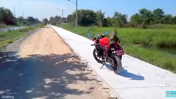 バイクにオシッコをしたサル　所有者が注意したら人間対サルの異種格闘技へ発展