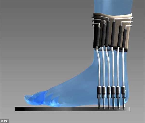未来の燃料はオシッコ？ 尿を入れた靴下から発電する「微生物燃料電池」を開発