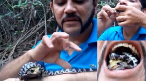 自称「スネーク忍者」の男　猛毒を持つヘビとカエルを同時に口の中に入れる！